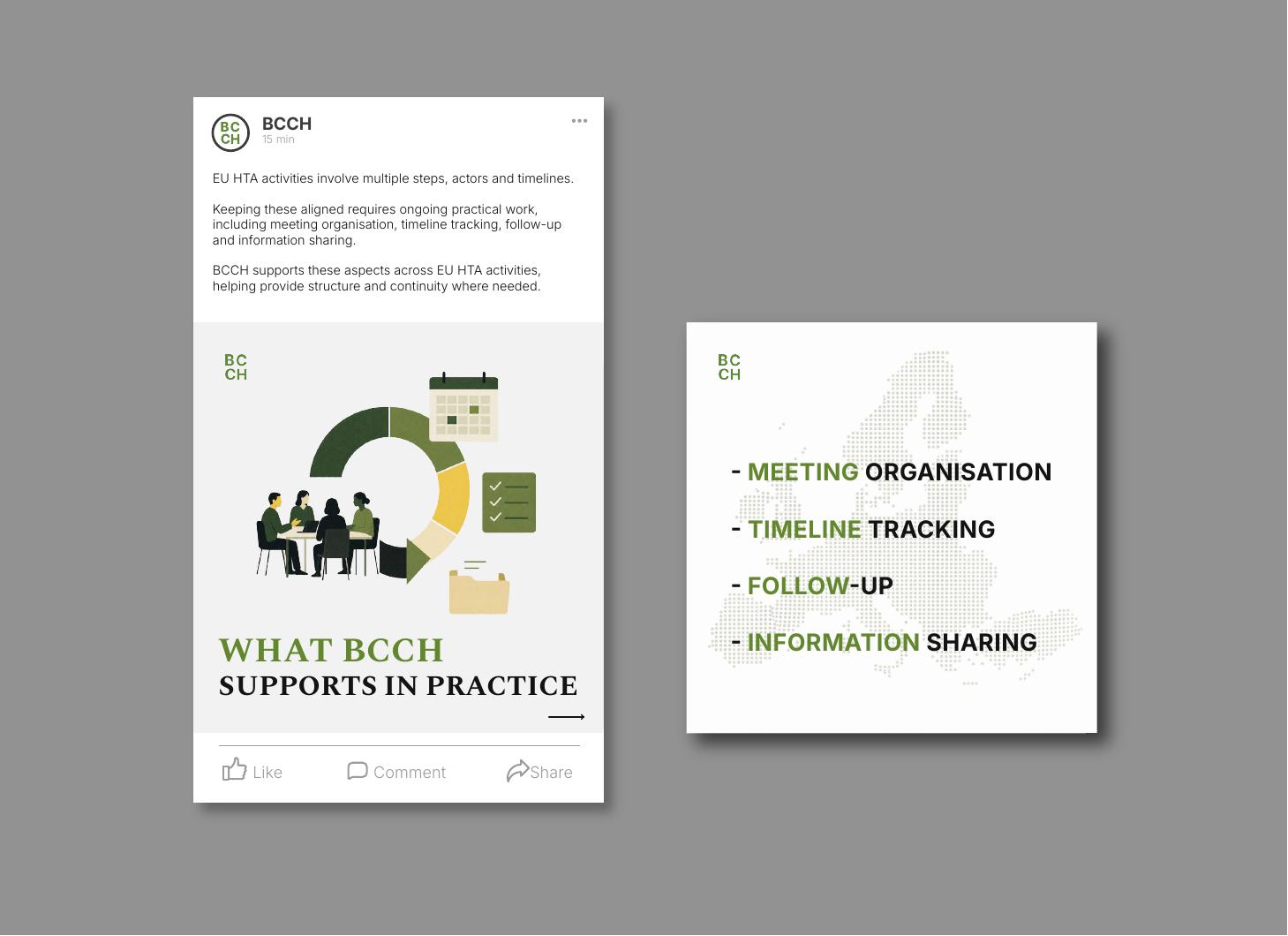 BCCH LinkedIn carousel detail — 'What BCCH supports in practice' explaining meeting organisation, timeline tracking, follow-up and information sharing across the EU
