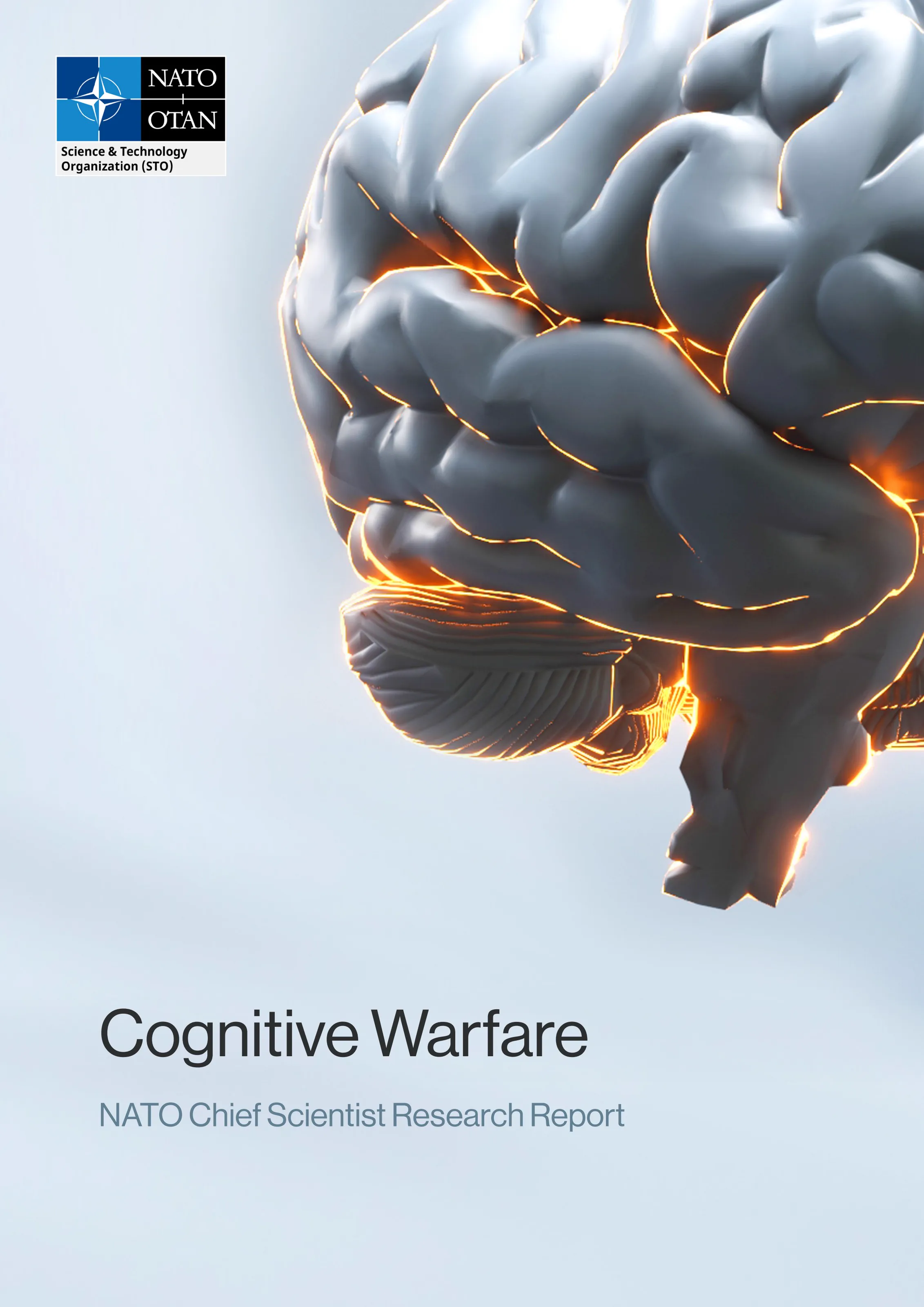 NATO Chief Scientist Research Reports